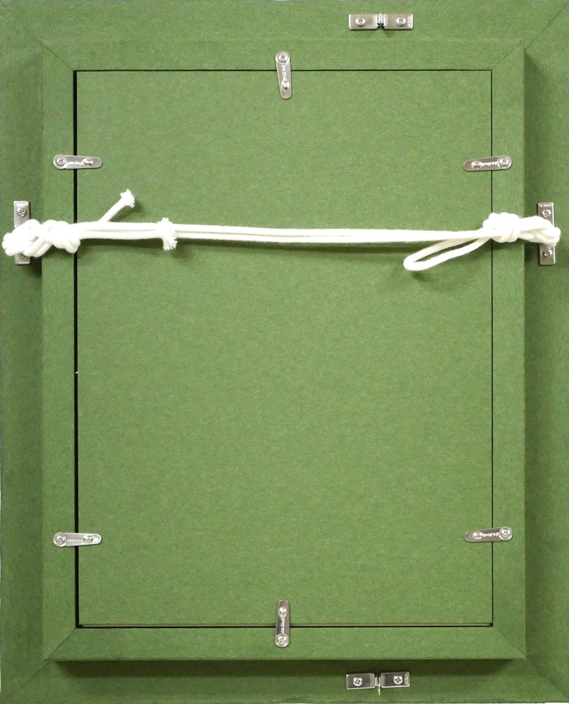 坂本直行「えぞとりかぶと」水彩画・SM 額縁裏側画像