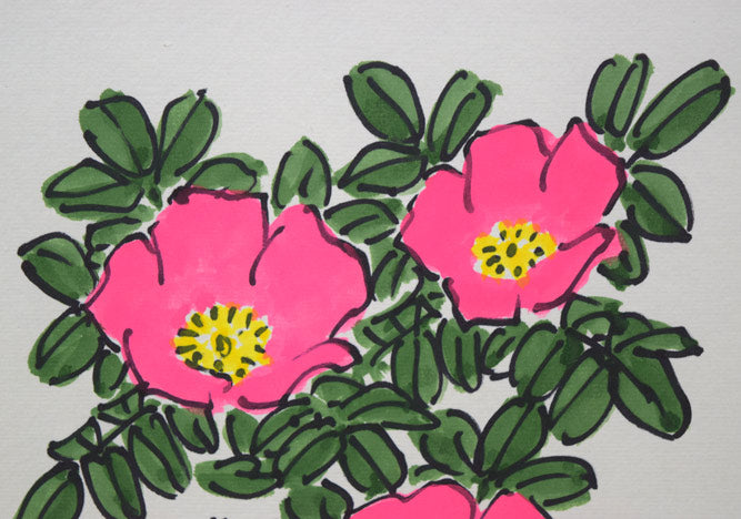 坂本直行「はまなし」水彩画・色紙 拡大画像1