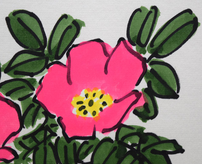 坂本直行「はまなし」水彩画・色紙 拡大画像3