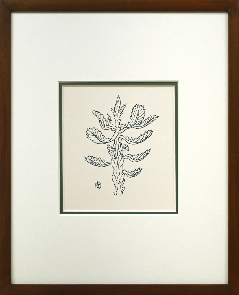 坂本直行「かしわ」ペン画(13.2×11.8cm)