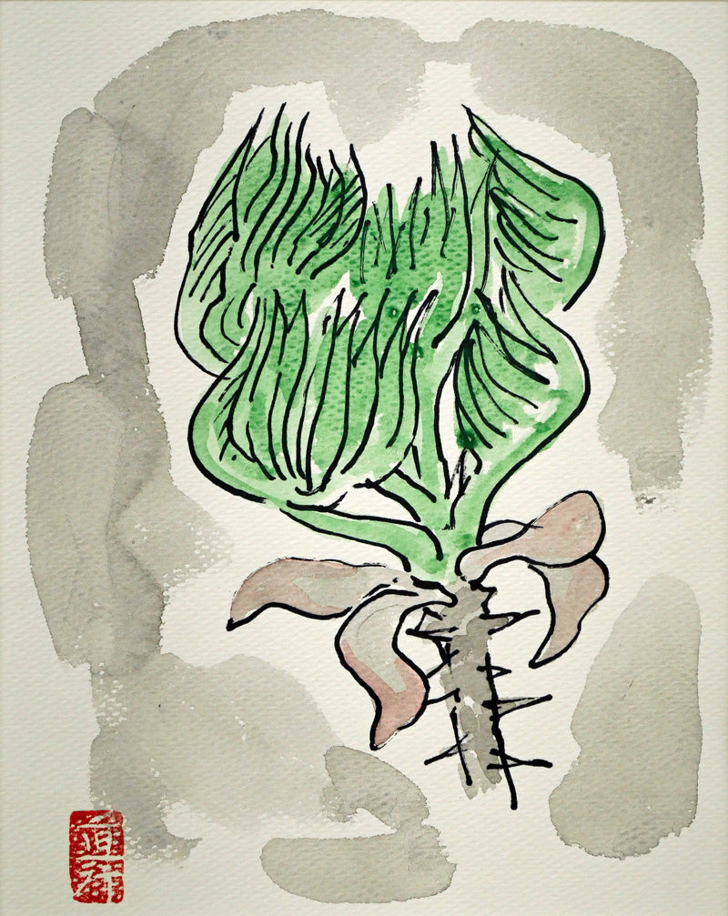 坂本直行「せんの木」水彩画(20×16cm) 作品全体画像