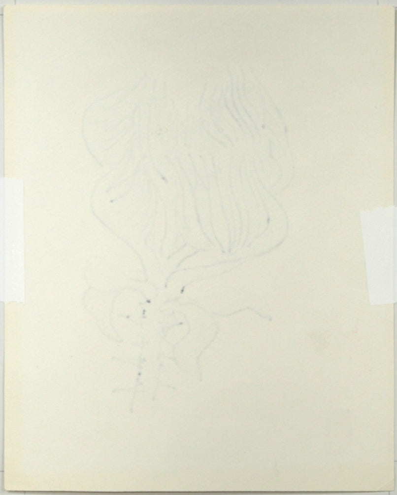 坂本直行「せんの木」水彩画(20×16cm) 作品裏側画像