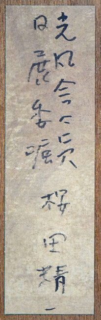 桜田精一「馬」油絵・F3号 作品裏側拡大画像(共シール)