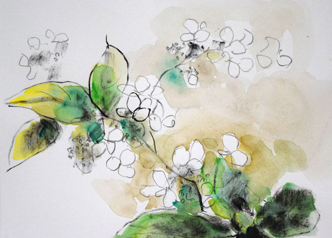 佐々木栄松「サビタの花」水彩画・3号 拡大画像1