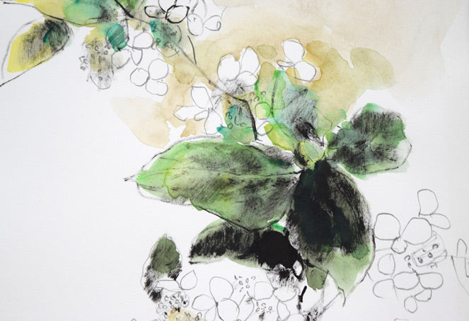 佐々木栄松「サビタの花」水彩画・3号 拡大画像2