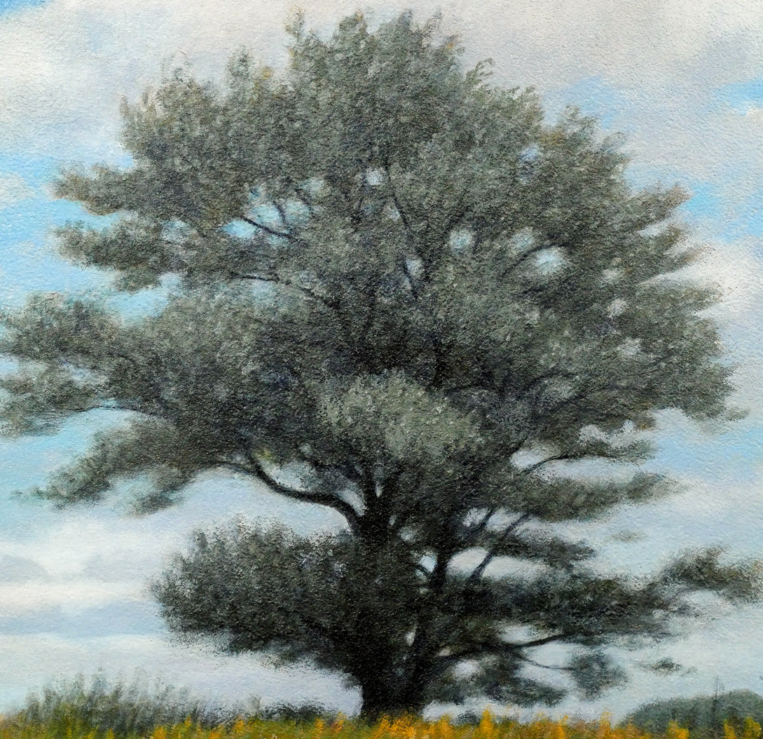 佐々木敏光「ギンドロの大樹」アクリルガッシュ・20号 拡大画像5