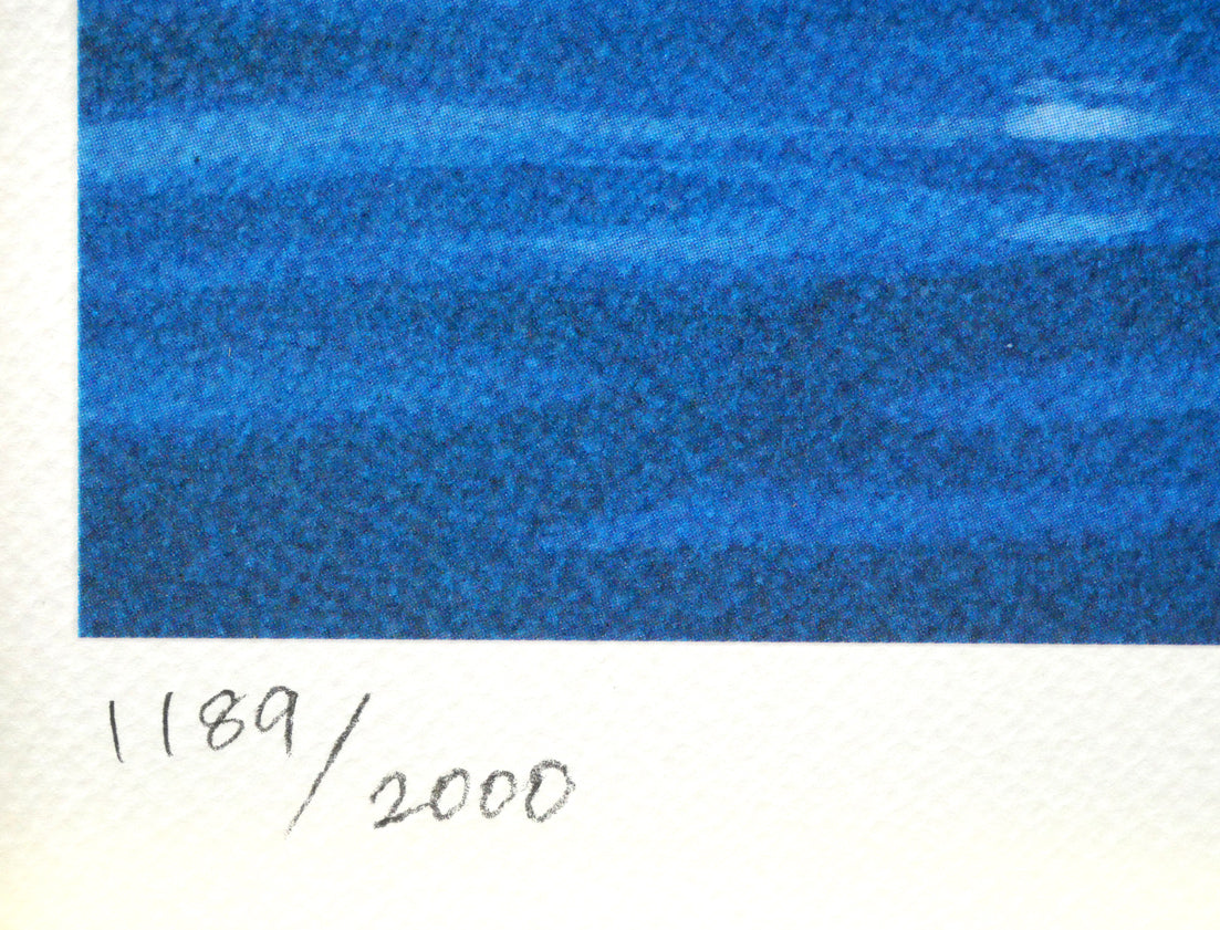 笹倉鉄平「サントロペ」ミックストメディア版画 限定番号(ed,1189/2000)