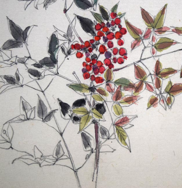 佐藤忠良「なんてん」水彩画・色紙 拡大画像2