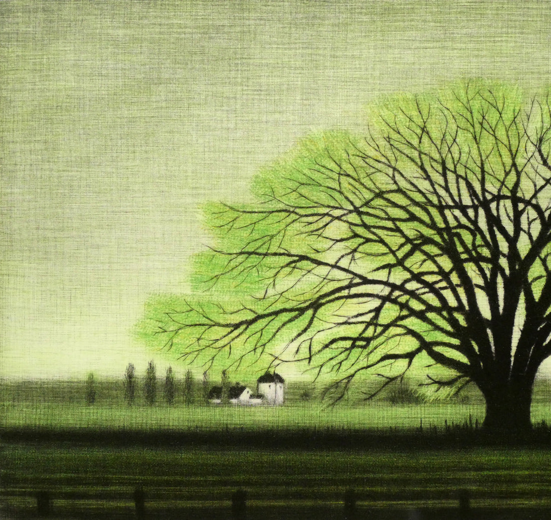 清水敦「はるにれ」銅版画(カラーメゾチント) 拡大画像1