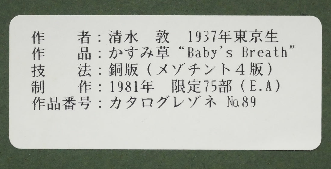 清水敦「かすみ草(Baby′s Breath)」銅版画(カラーメゾチント) 額裏拡大画像1