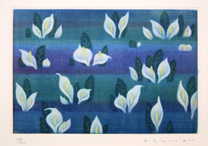 清水敦「水芭蕉」カラーメゾチント(銅版画) 作品全体拡大画像