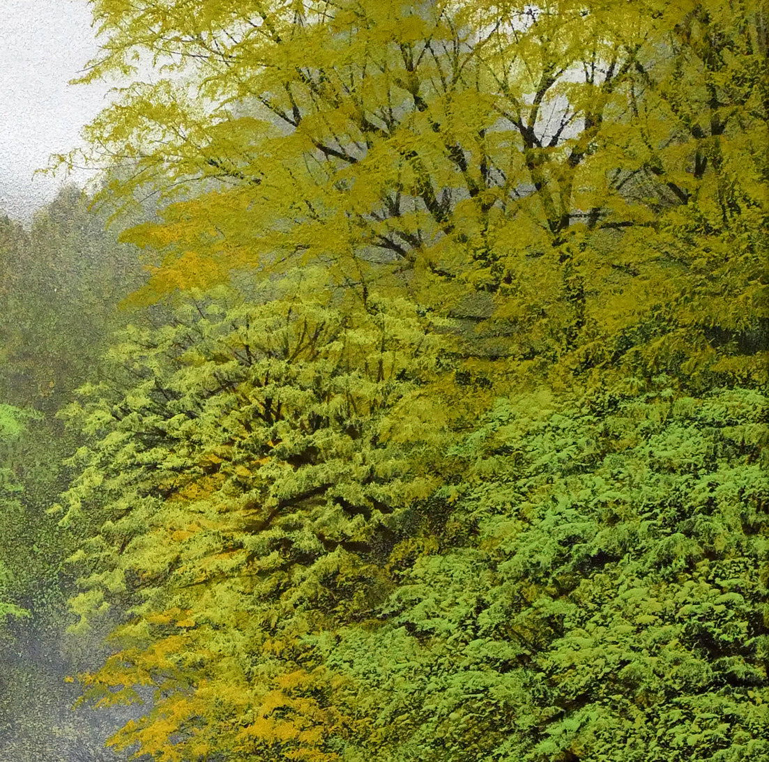 清水規「錦雲渓緑彩」日本画・F10号 拡大画像2