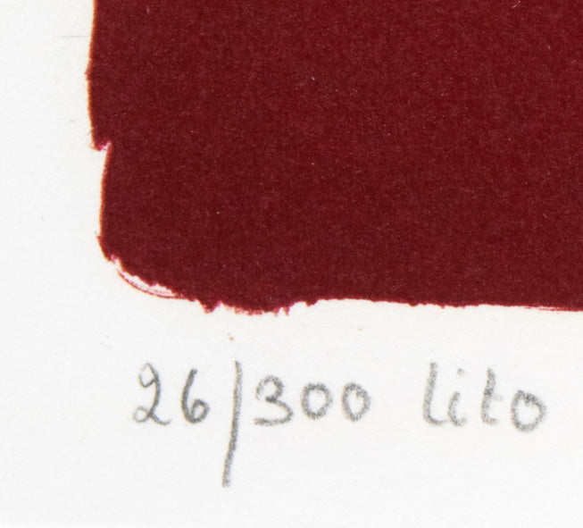 マックス・ワルター スワーンベリ「想像力のポートレート」リトグラフ 限定番号(ed,26/300)