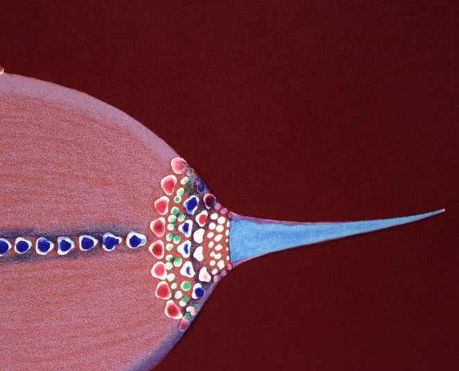 マックス・ワルター スワーンベリ「想像力のポートレート」リトグラフ 拡大画像6