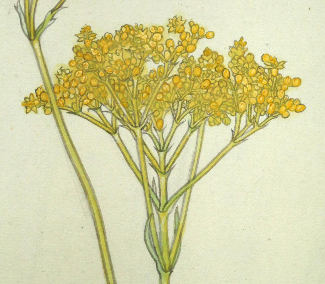 杉山寧「花」日本画・15号 拡大画像2