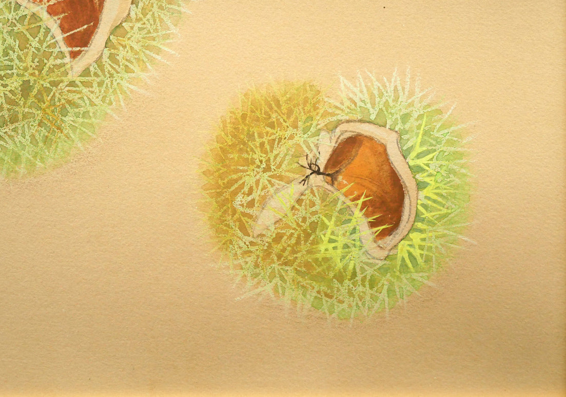 杉山寧「栗」パステル・水彩画・8号 拡大画像4