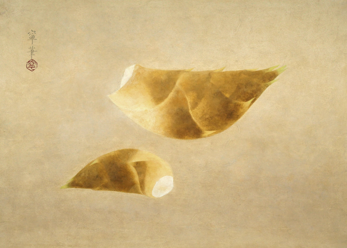 杉山寧「筍図」日本画・12号 作品全体画像