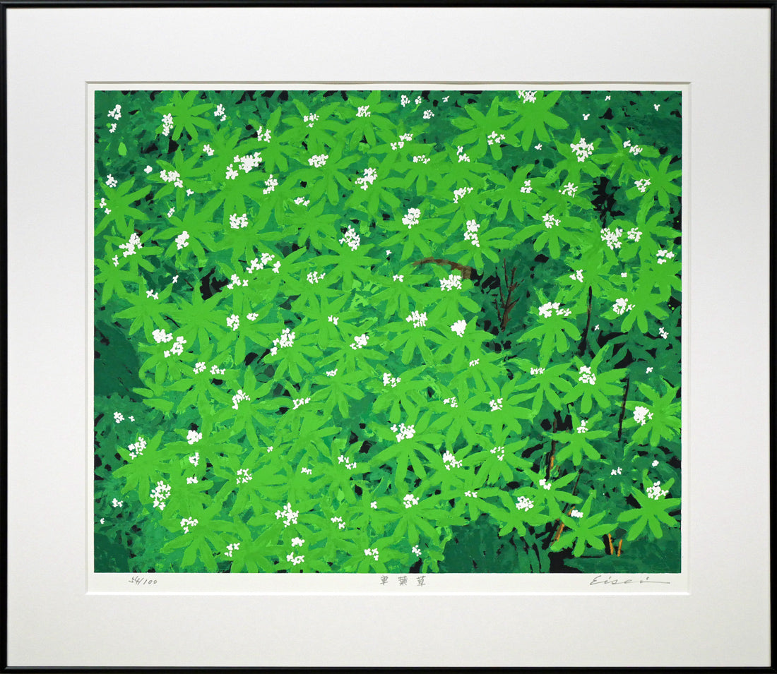 高橋英生「車葉草(クルマバソウ)」シルクスクリーン版画