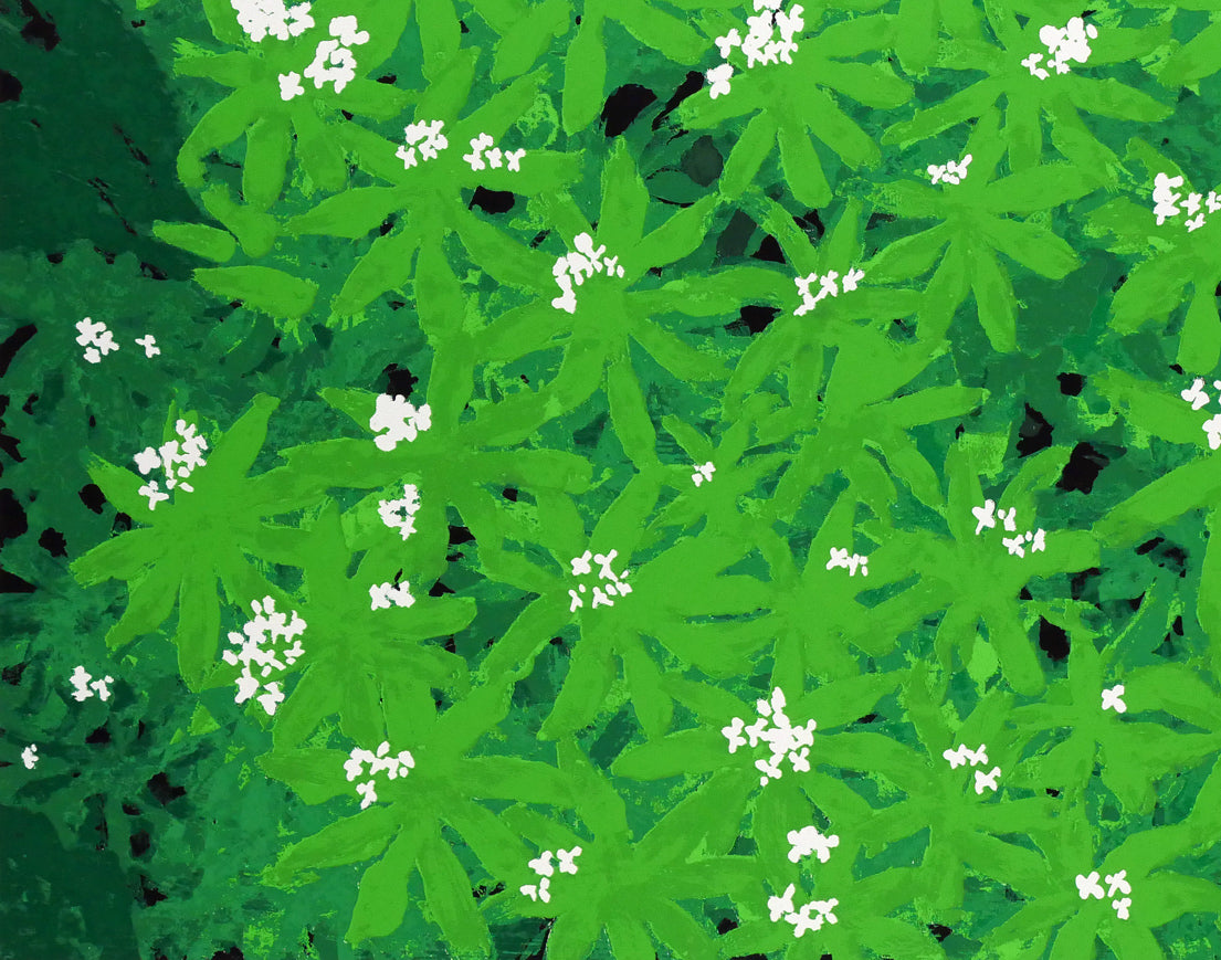 高橋英生「車葉草(クルマバソウ)」シルクスクリーン版画 拡大画像3