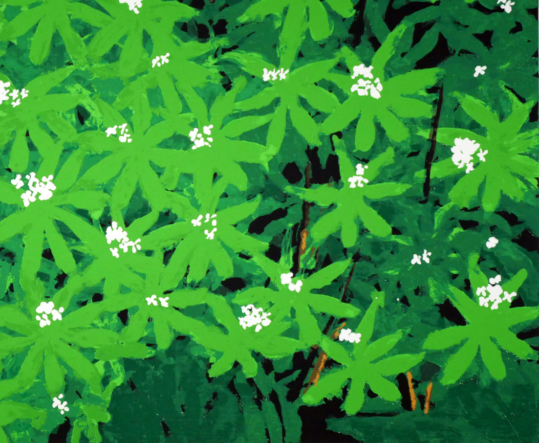 高橋英生「車葉草(クルマバソウ)」シルクスクリーン版画 拡大画像4