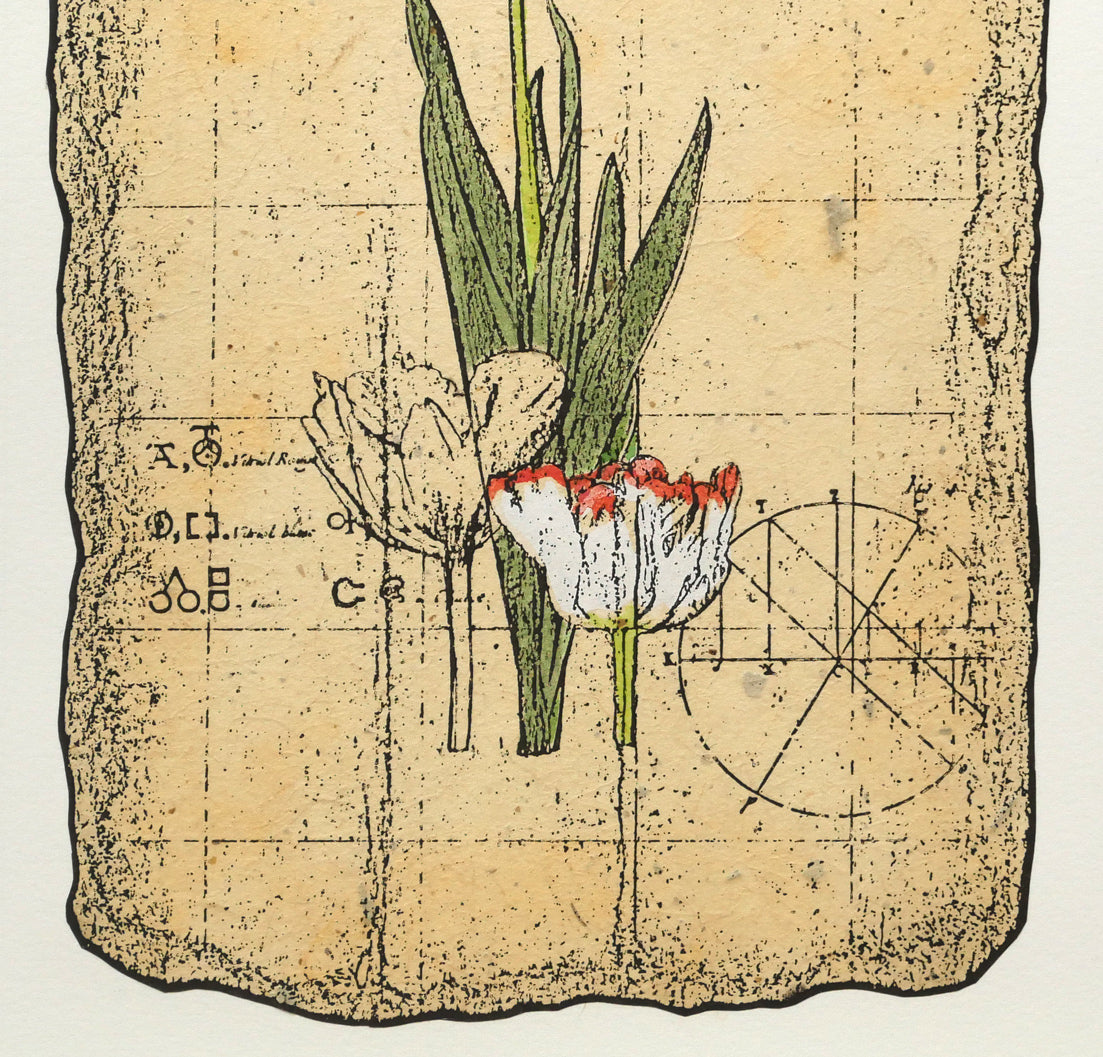 高橋シュウ「Tulips」銅版画 拡大画像3
