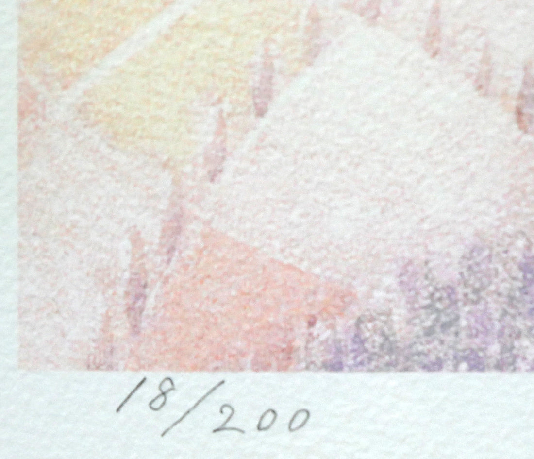 武宮秀鵬「銀河」リトグラフ 限定番号(ed,18/200)