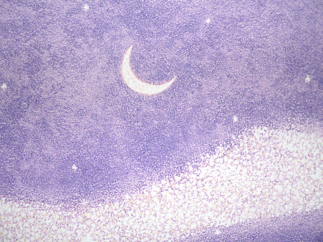 武宮秀鵬「銀河」リトグラフ 拡大画像3