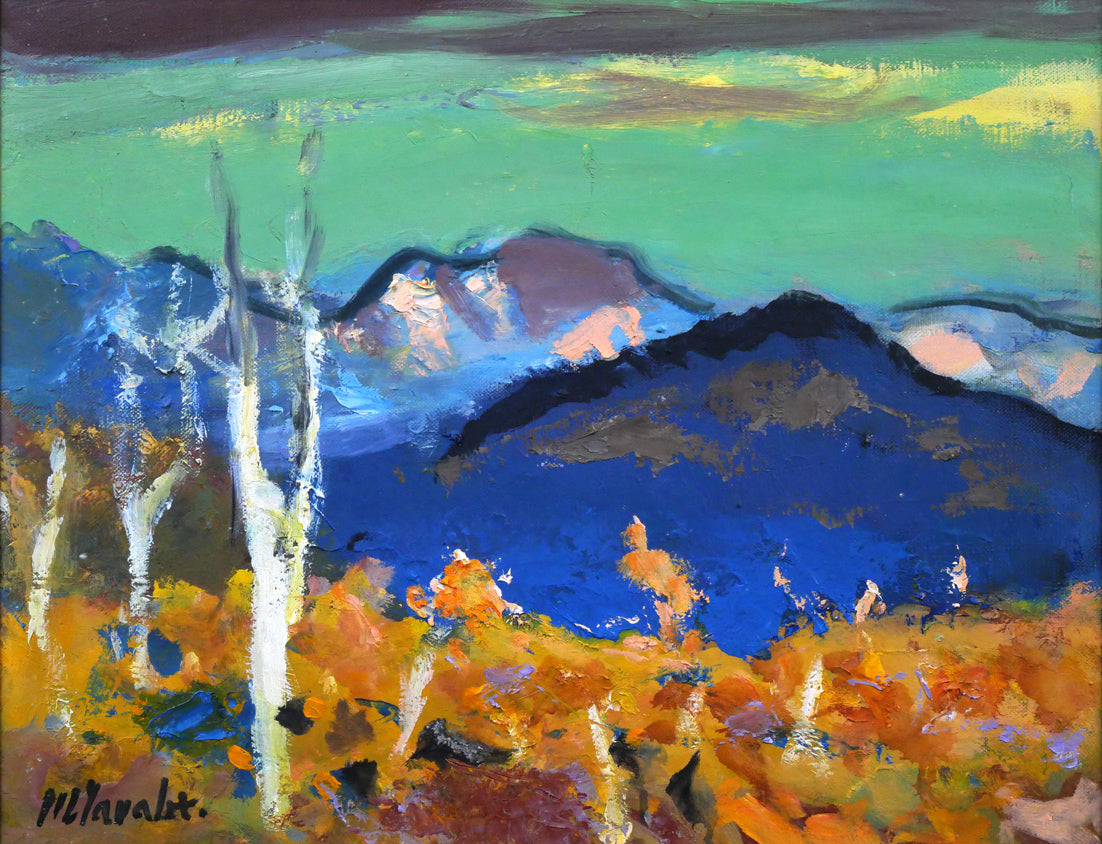 田辺三重松「裏大雪初夏」油絵・F6号 作品全体拡大画像