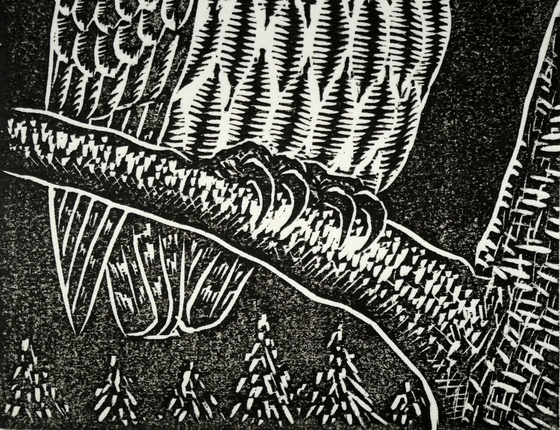 手島圭三郎「しまふくろう」木版画 拡大画像3