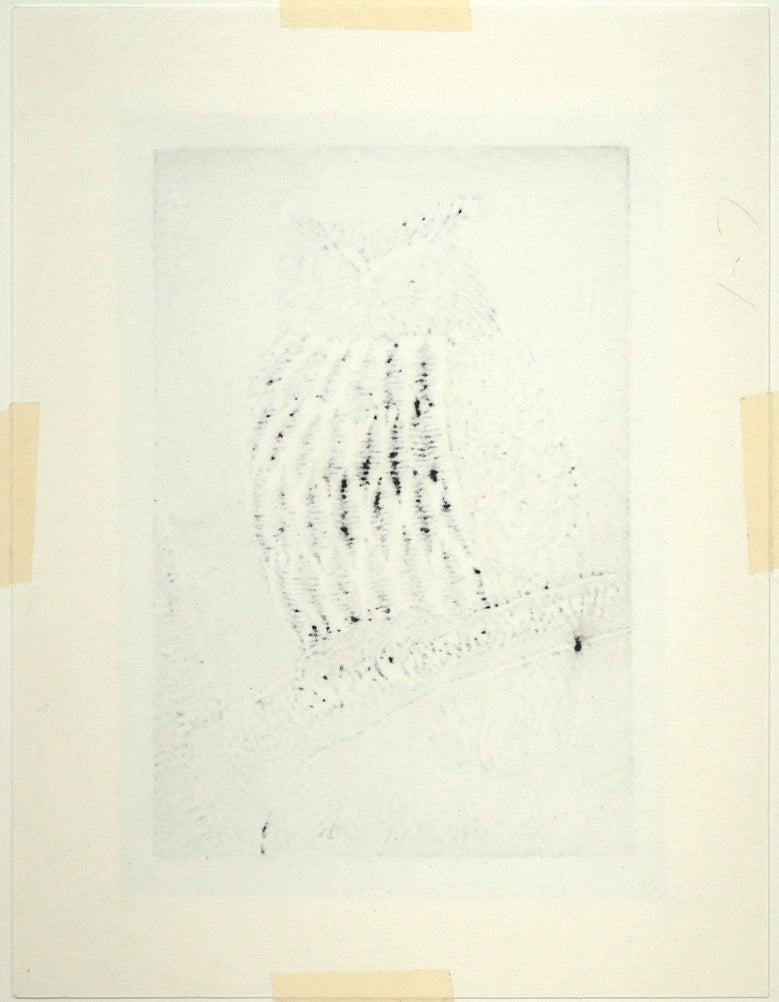 手島圭三郎「しまふくろう」木版画 作品シート裏側画像