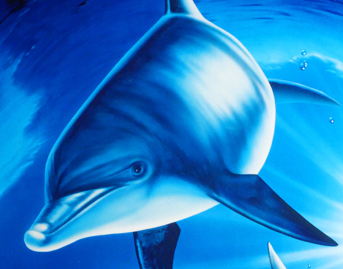 戸川郁夫「ドルフィンズ スカイ」キャンバスにジークレー版画 拡大画像2