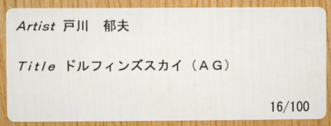 戸川郁夫「ドルフィンズ スカイ」キャンバスにジークレー版画 額裏拡大画像2