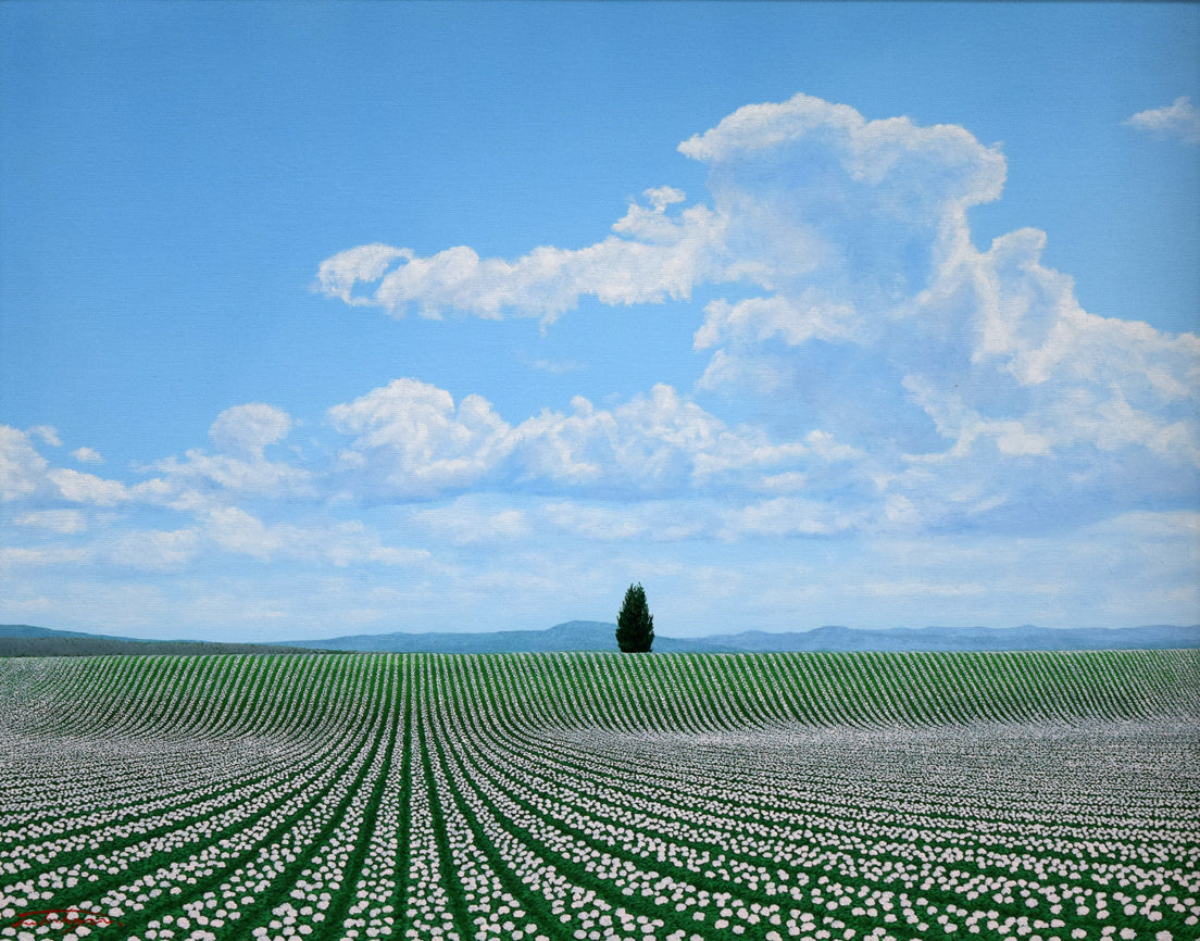 塚原貴之「ポプラの見えるじゃがいも畑(富良野)」油絵・F6号 作品全体拡大画像