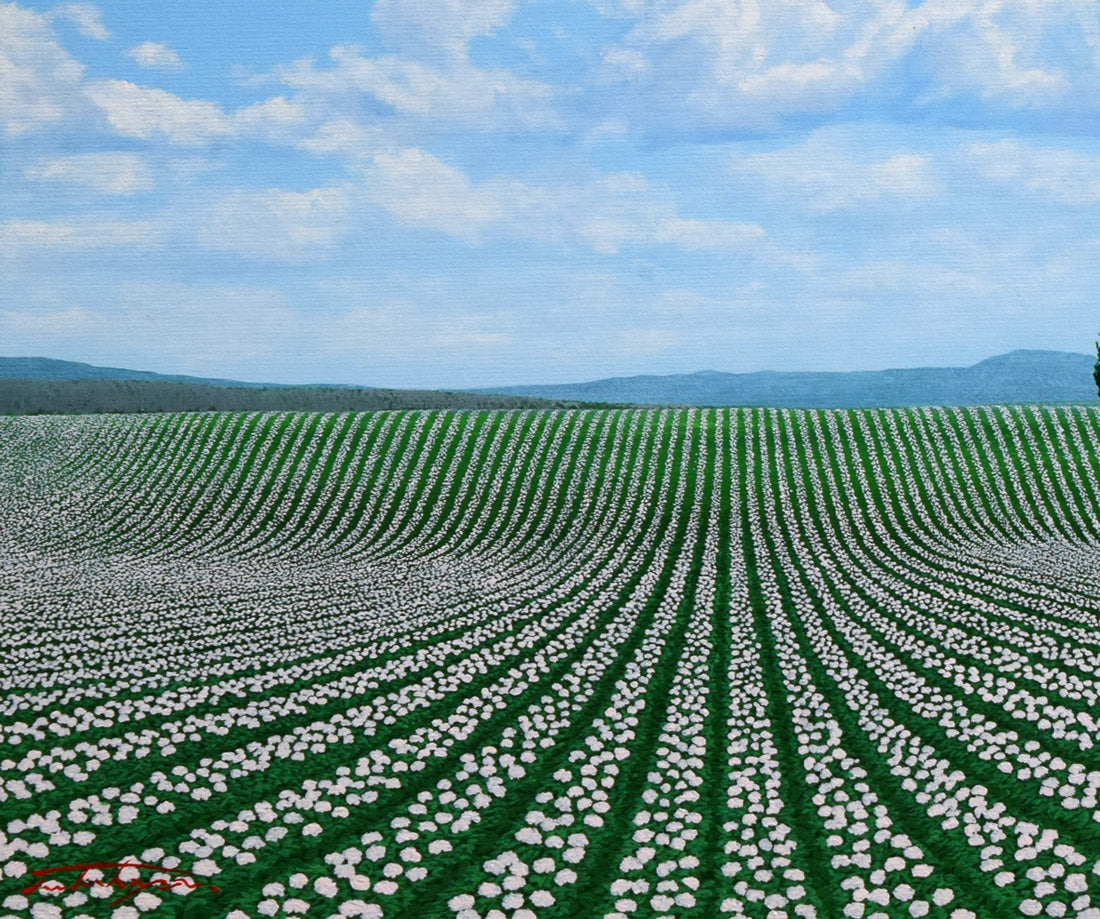 塚原貴之「ポプラの見えるじゃがいも畑(富良野)」油絵・F6号 拡大画像3