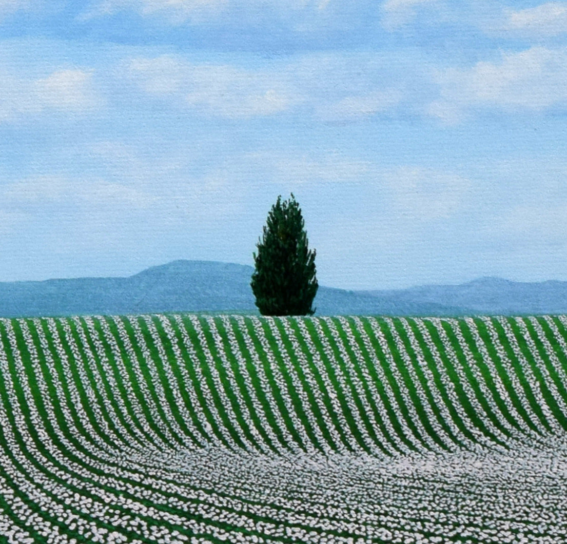 塚原貴之「ポプラの見えるじゃがいも畑(富良野)」油絵・F6号 拡大画像5