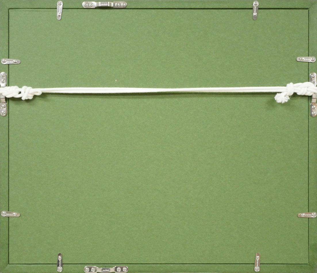 碓井正人「さくらそう」油絵・F3号 額縁裏側画像