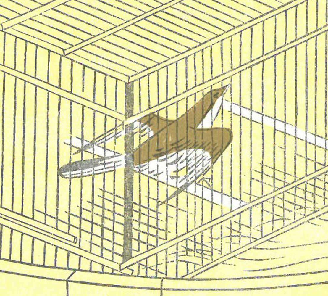 喜多川歌麿「名婦詠歌 花鳥風月 鳥 紫式部(復刻版)」木版画 拡大画像6