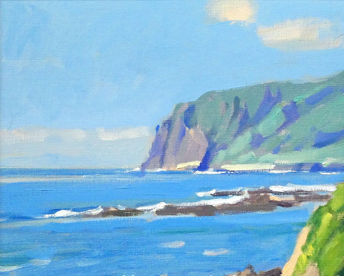 山岸正巳「古宇海岸夏」油絵・F6号 拡大画像1