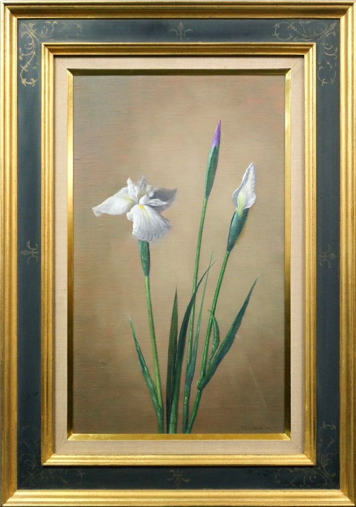 山口和男「菖蒲」油絵・M8号