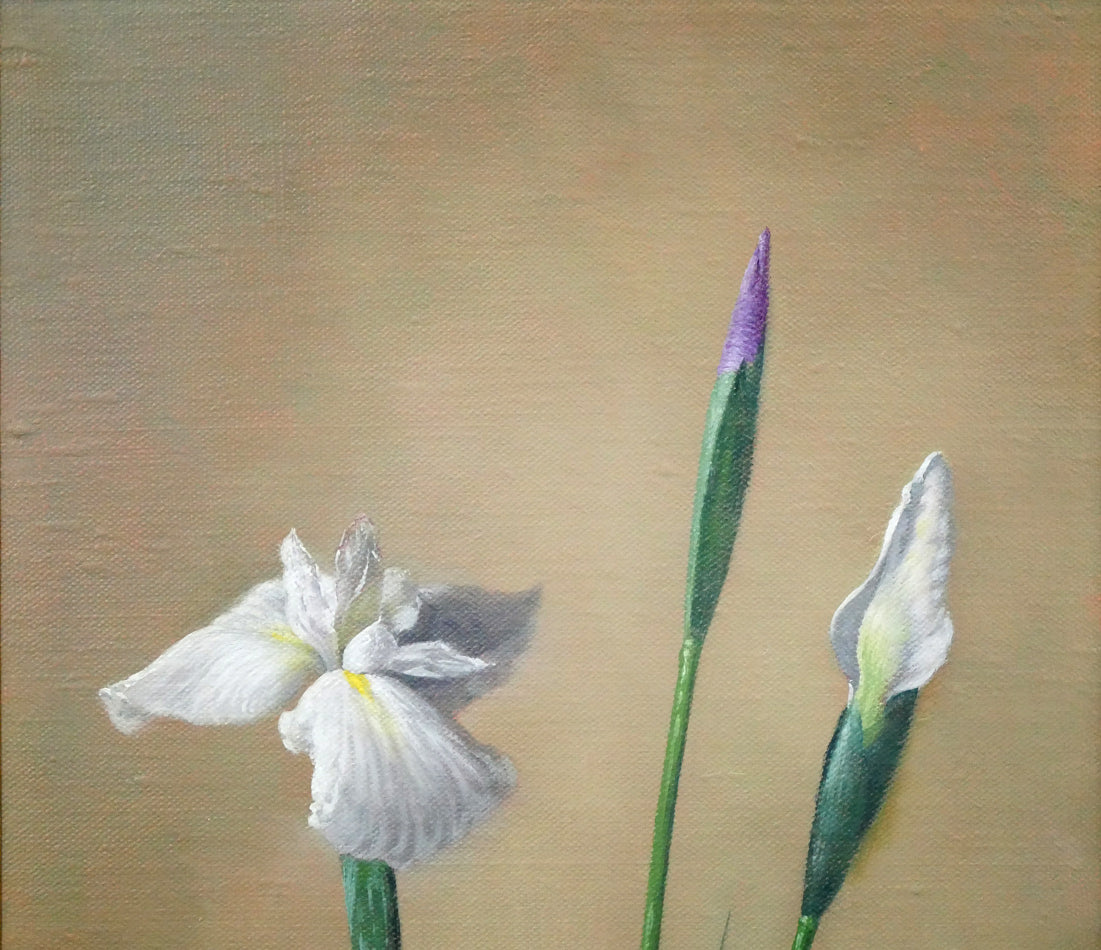 山口和男「菖蒲」油絵・M8号 拡大画像1