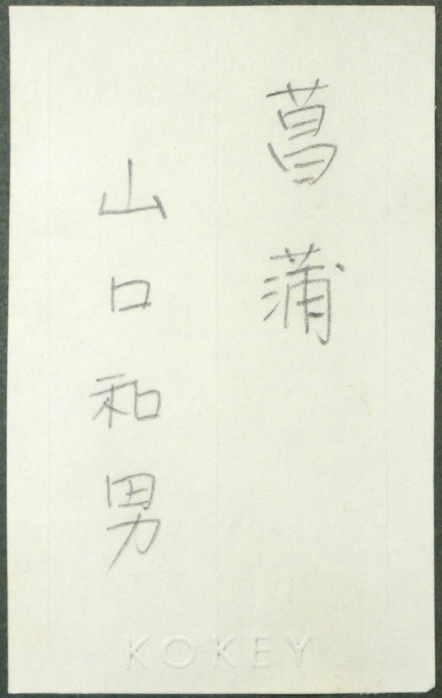 山口和男「菖蒲」油絵・M8号 額裏拡大画像1