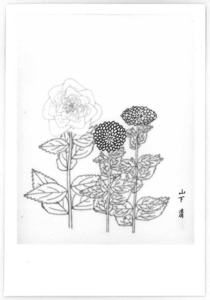 山下清「だりや」色ペン画・6号色紙・鑑定書(裏)