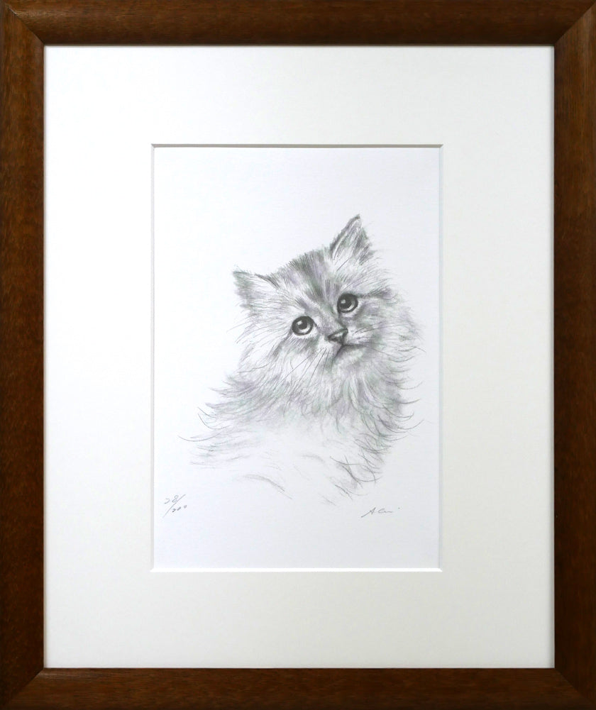 八代亜紀「チビたん」リトグラフ 額装全体画像