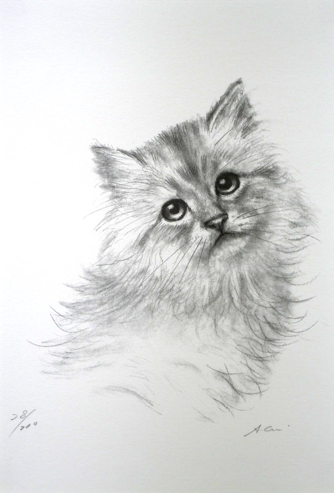 八代亜紀「チビたん」リトグラフ 作品全体拡大画像