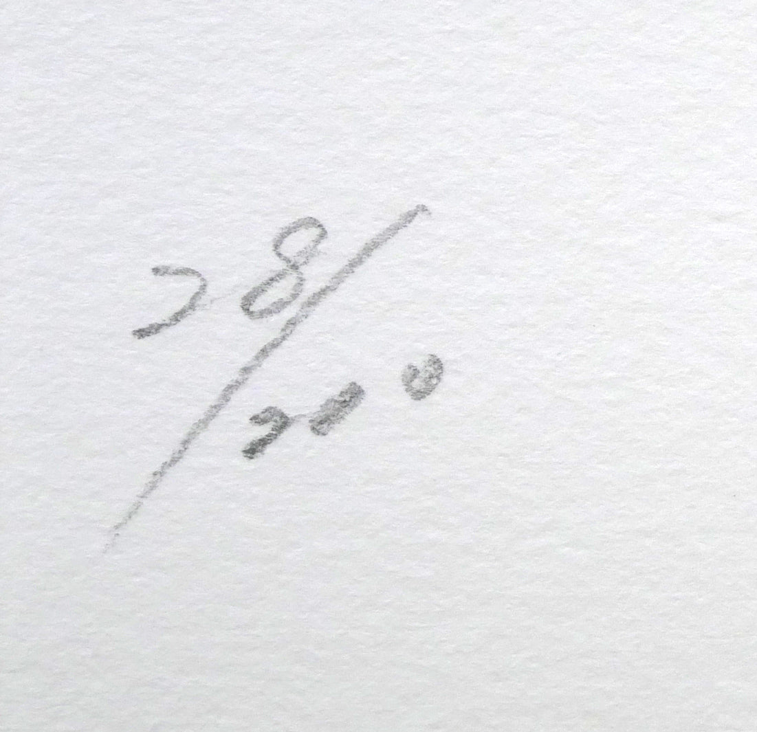 八代亜紀「チビたん」リトグラフ 限定番号(ed,28/200)