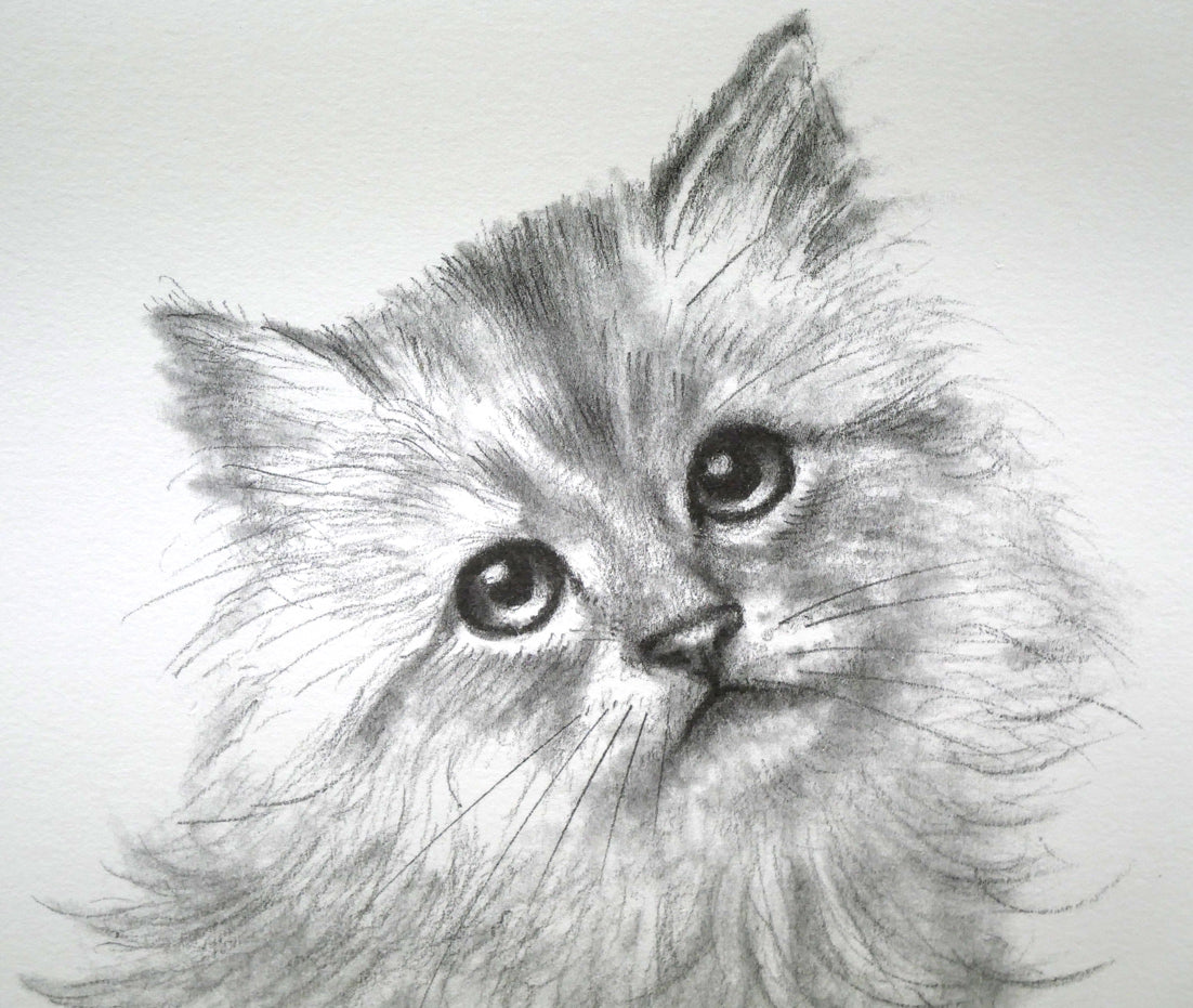 八代亜紀「チビたん」リトグラフ 拡大画像1