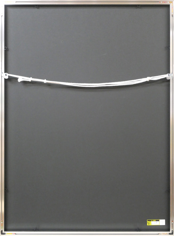 安田侃「二つの顔」シルクスクリーン版画 額縁裏側画像