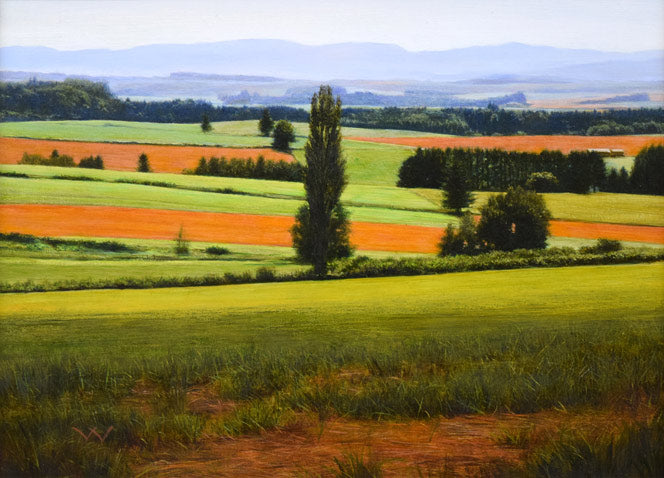 安田祐造〔祐三〕「美瑛~麦の実る頃」油絵・P8号 作品全体拡大画像