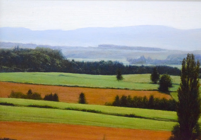 安田祐造〔祐三〕「美瑛~麦の実る頃」油絵・P8号 拡大画像1