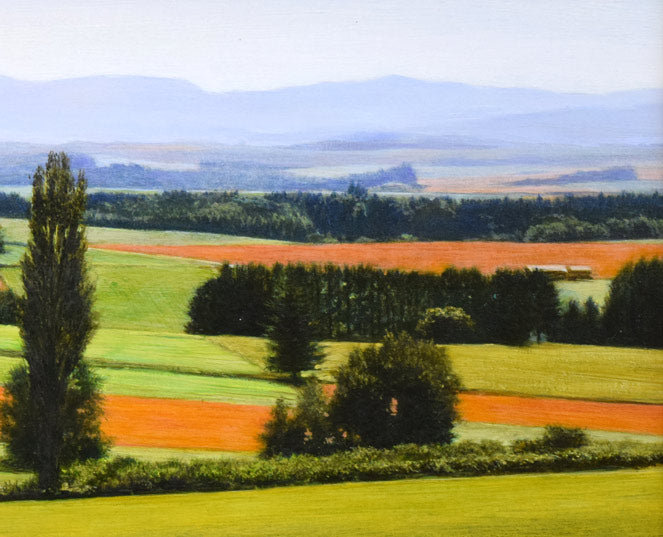 安田祐造〔祐三〕「美瑛~麦の実る頃」油絵・P8号 拡大画像3